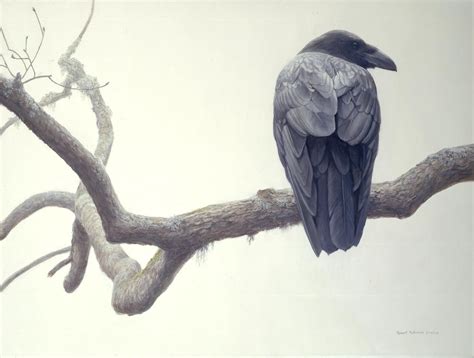Lone Raven Robert Bateman Artwork National Museum Of Wildlife Art
