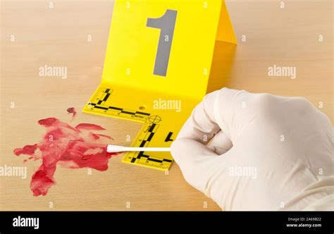 Forensic Investigator Collecting Blood Sample At Crime Scene