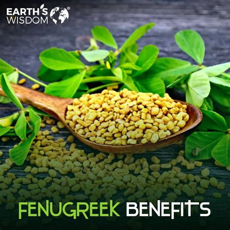 Fenugreek Is Commonly Used In Asian And Mediterranean Cuisine However