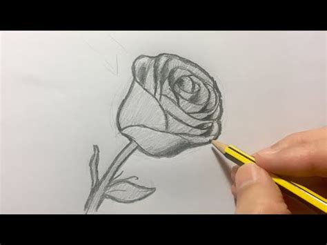 C Mo Dibujar Una Rosa Paso A Paso Youtube Como Dibujar Rosas