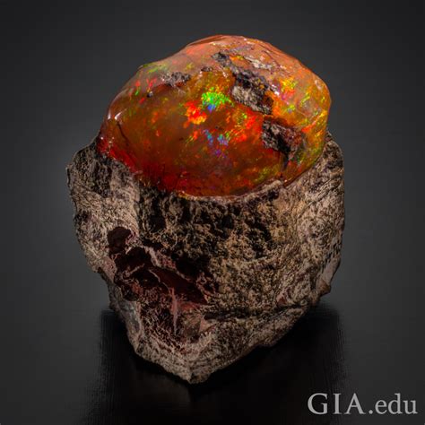 Rough Mexican Fire Opal In Rhyolite Minerals And Gemstones Gems And