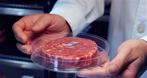 Carne Sintetica O Coltivata Che Cos E Come Viene Prodotta Mario Negri