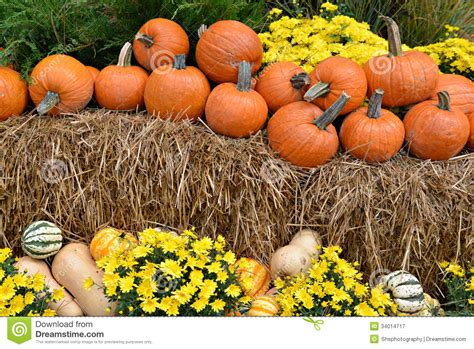 Autumn Decor On Hay Bales Stock Image Image Of Forest 34014717