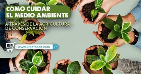 Qu Es Agricultura Sustentable Y Ejemplos Ejemplos De Agricultura
