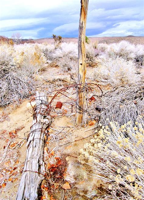A Desert Scene Photograph By Marilyn Diaz Fine Art America
