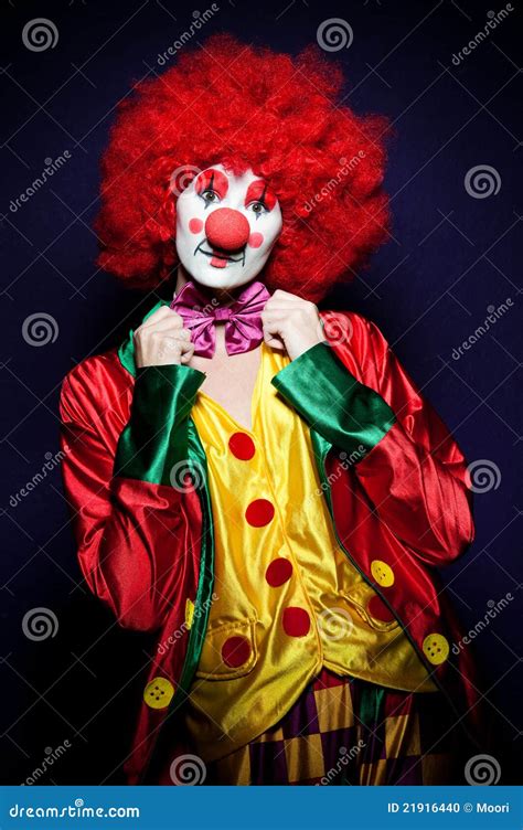 Colorful Clown Stock Photo Image 21916440