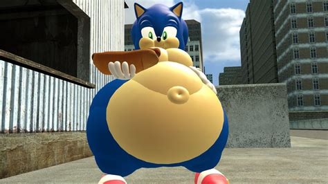 Fat Sonic Characters