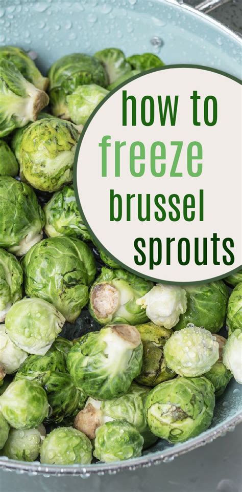 How To Freeze Brussel Sprouts Brussel Sprouts Freezing Brussel