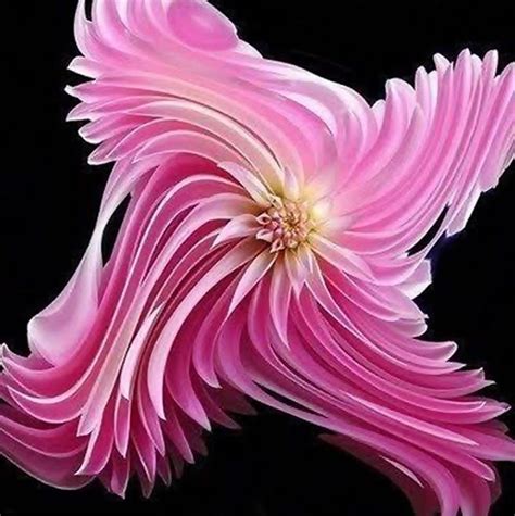 New Beautiful Rare Flowers Images Top Collection Of Different Types