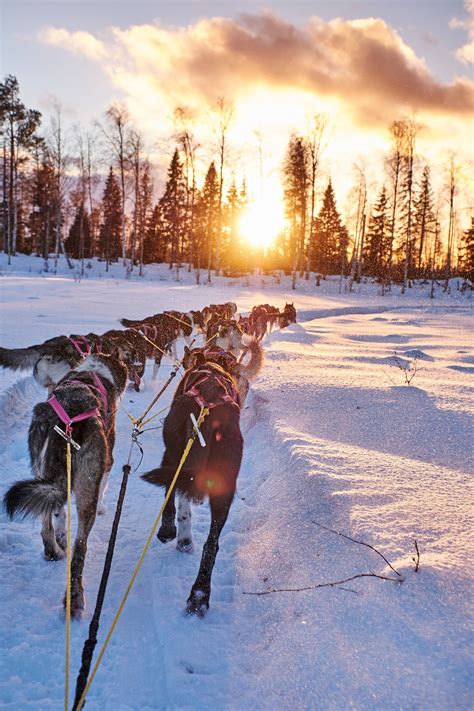 Swedish Lapland A Frozen Wilderness Lappland Alaska Places To Travel