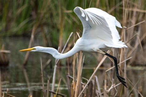 Mn Valley National Wildlife Refuge Facts And Photos