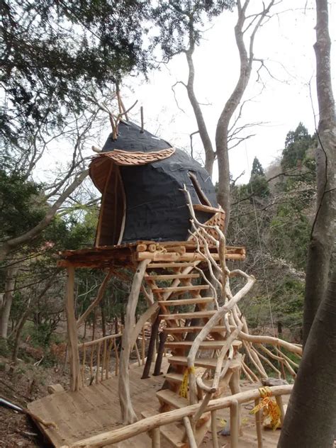 Matsushima Tree House Japanese Project E Architect