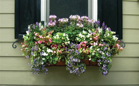 Beautiful Window Boxes And Hanging Baskets By Pamela Crawford