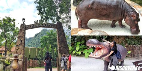 From here, lost world of tambun is only twenty minutes taxi ride to the park. Sunway Lost World Of Tambun At Ipoh Is A Nature-Inspired ...