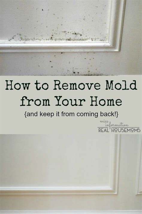 This disinfectants do not remove the mold and do not. How to Remove Mold from Wood and Walls | Miss Information