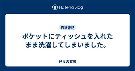 ポケットにティッシュを入れたまま洗濯してしまいました。 野良の覚書