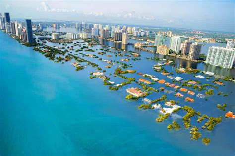 Florida Is Drowning Condos Are Still Being Built Cant Humans See The