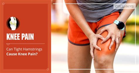 Knee Fat Pad Impingement Potential Cause Of Knee Pain Cellaxys