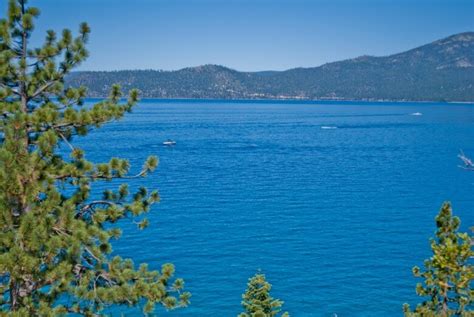 Things To Do In Lake Tahoe Beach Babies In The Lake Tahoe Sun Windy