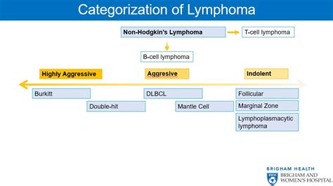 Lymphoma Classification Non Hodgkin T Cell Lymphoma Non Hodgkin