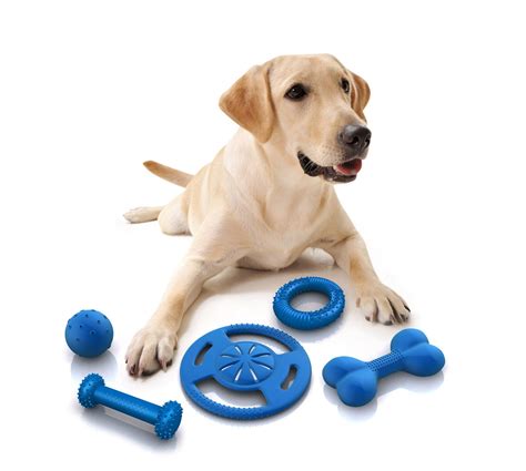 The Most Charming Dogs In The World Toys For Dogs