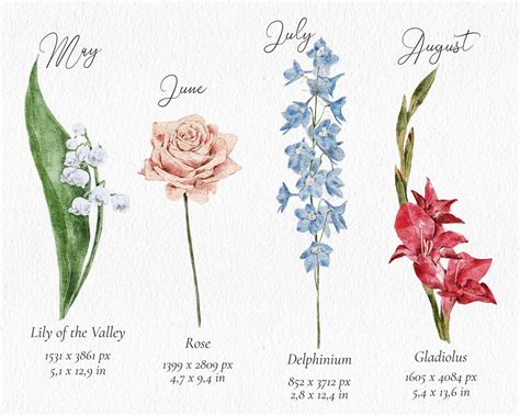 Watercolor Birth Flower Clipart Set Hand Painted Watercolor Etsy France