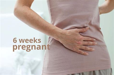 6 Weeks Pregnant Your Baby And You At 6 Weeks What To Expect