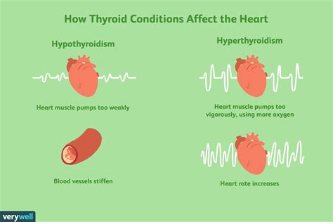 Factors That Affect Thyroid Function