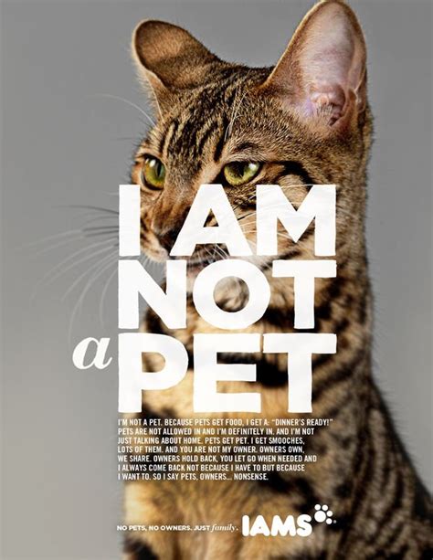 I Love This Ad Campaign Print Ads Copy Ads Pet Advertising