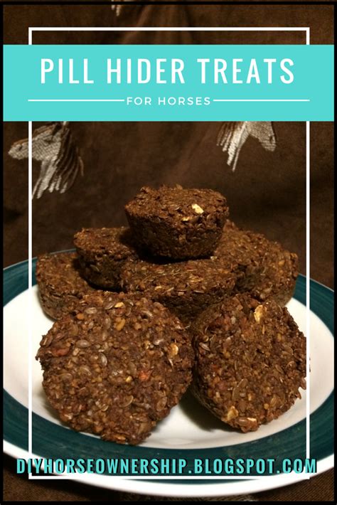 Horse Treat Recipes No Bake Enid Simpkins