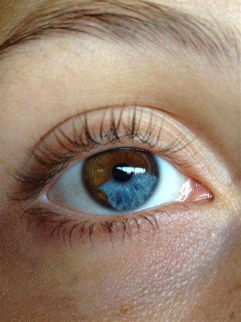 Human Eye Human Body Heterochromia Eyes Jace Lightwood Beautiful