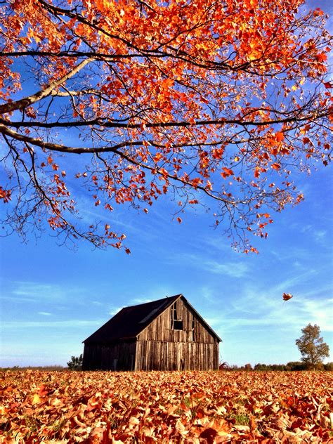 Autumn Perfectly Compliments This Country Scene Of A