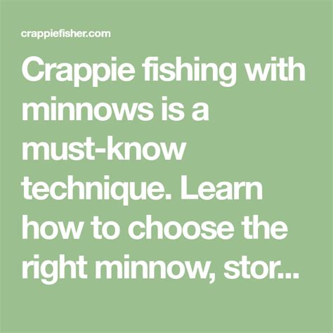 Crappie Fishing With Minnows Killer Rigs Artofit