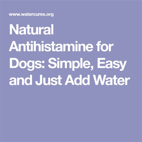 Natural Antihistamine For Dogs Simple Easy And Just Add Water