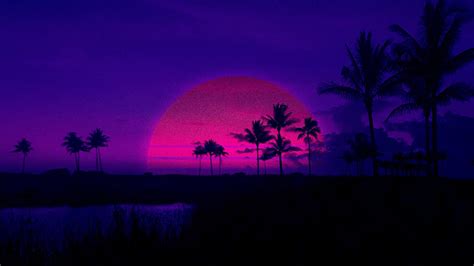 Neon Palm Tree Wallpapers Top Free Neon Palm Tree Backgrounds