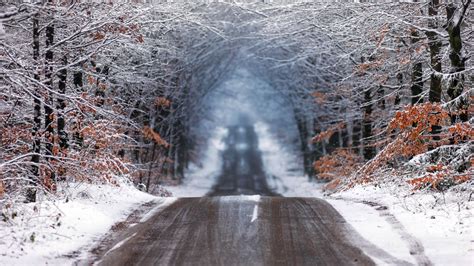 Forest Road In Winter Wallpaper Hd Nature 4k Wallpapers Images