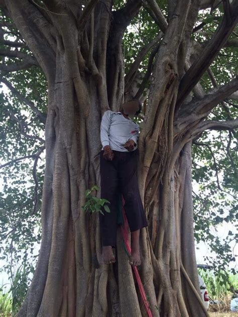 Photos Man Found Hanging From Tree Suicide Note Recovered