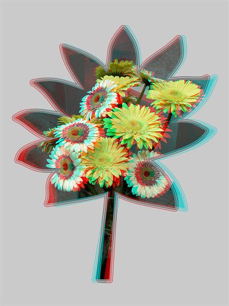 Flower Anaglyph D Picture You Need Red Cyan Glasses Flickr