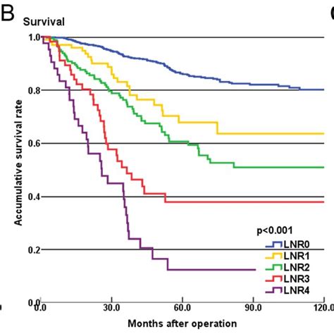 Survival Curves Of Colorectal Cancer Patients According To Three