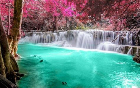 Waterfall Forest Colorful Nature Thailand Trees