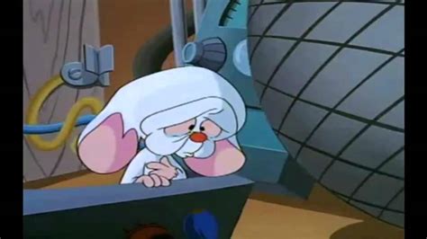 The brain is a genius, while pinky is pinky and the brain first appeared as supporting characters on animaniacs, then becoming popular enough to get their own series. Pinky & Cerebro (El mejor amigo del mundo) - YouTube