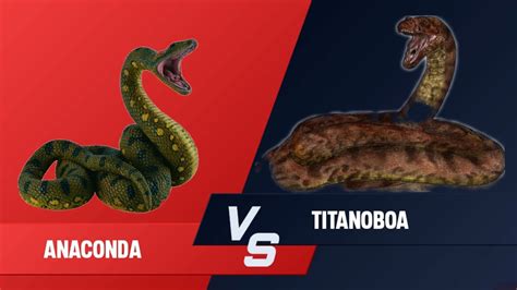 Anaconda Vs Titanoboa Animal Revolt Battle Simulator Arbs Youtube