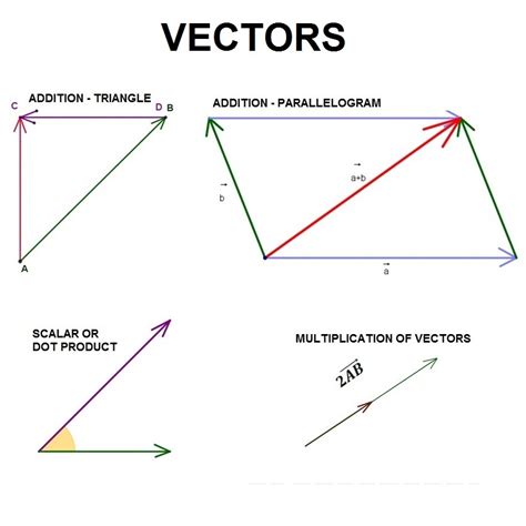 Vectors Direction Orientation Addition Multiplication Scalars