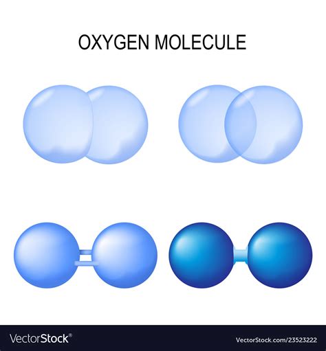 Structure Of Oxygen Molecule Set Of Different Vector Image