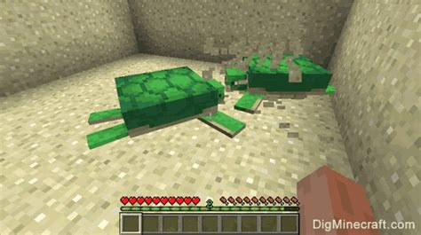√ How To Breed Turtles In Minecraft Game Update