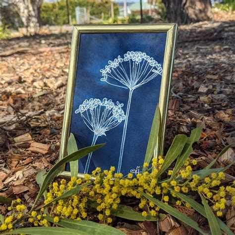 allium tuberosum original australian botanical art blue bower art