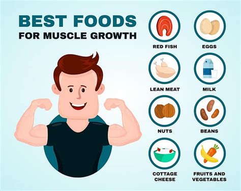 How Important Is Nutrition To Building Muscle