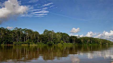 Conocer La Amazonía Colombiana Colombia Te Sorprende