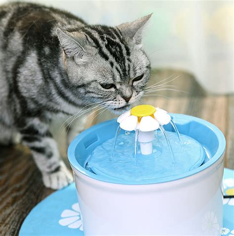 Automatic Flower M 16l Cat Water Bowl Fountain