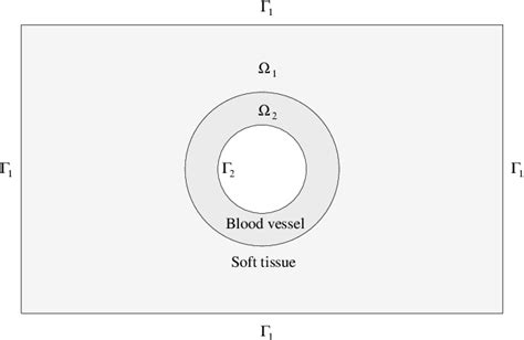 Schematic 2d Slice Of The Computational Domain Ω Ω 1 ∪ Ω 2 Including